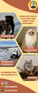 Photo de galerie - Visite à domicile •Promenade•Pension féline familiale 	•Transport