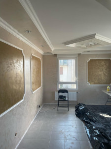 Photo de galerie - Renovation salon avec plafond b13 décoration mure 