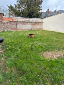 Photo de galerie - Une GRANDE cours pour jouer ⚾️