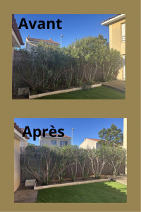 Photo de galerie - Tailles 