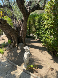 Photo de galerie - Ramassage de feuilles 