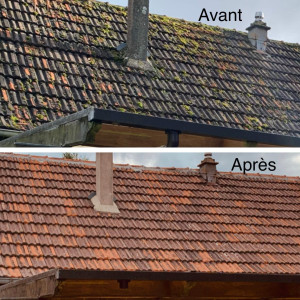 Photo de galerie - Demoussage toiture a la main + nettoyage par pulvérisation 