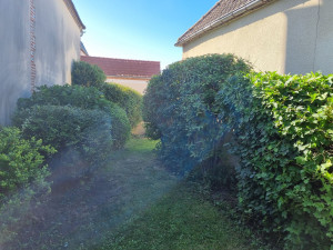 Photo de galerie - Taille de haies et d'arbustes