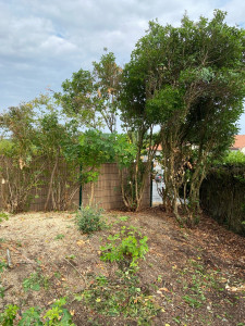 Photo de galerie - Avant l’intervention 