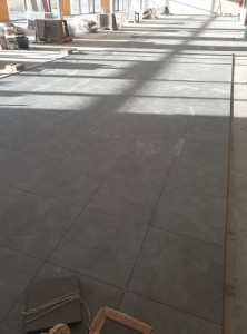 Photo de galerie - 60x60 pieces 1000m carre