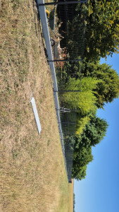 Photo de galerie - Clôture Grillage