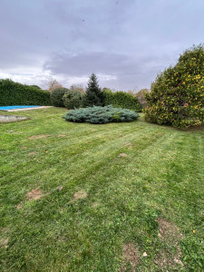 Photo de galerie - Tonte de pelouse