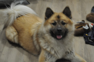 Photo de galerie - Ma petite doudouce 