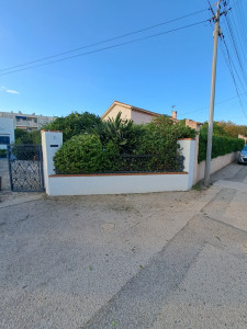 Photo de galerie - Taille de haie