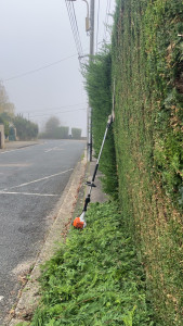 Photo de galerie - Taille d’une haie de cyprès 