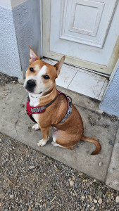 Photo de galerie - Viking