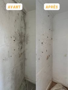 Photo de galerie - Application d’un fongicide sur mur gondolé atteint par la moisissure 