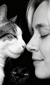 Photo de galerie - Un chat ne partage pas seulement notre maison, il trouve une place dans notre cœur