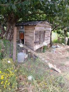 Photo de galerie - Bricolage et multi services