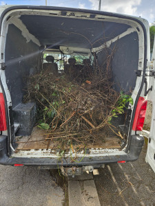 Photo de galerie - Débarras déchets verts 