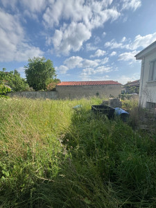 Photo de galerie - Tonte de pelouse - Débroussaillage