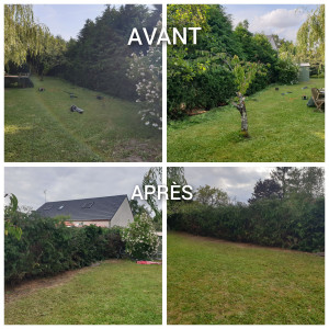 Photo de galerie - Taille de haie en hauteur ( avant 5m - après 2m) et largeur.