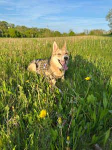 Photo de galerie - ☀️ 