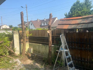 Photo de galerie - Coupe d’arbre et dessouchage d’arbre -30 cm