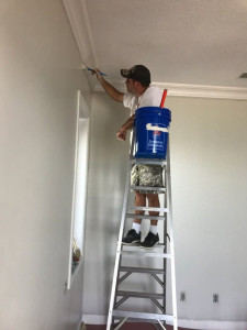 Photo de galerie - Peinture - Tapisserie