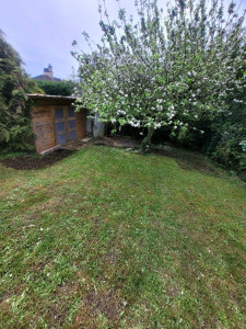 Photo de galerie - Préparation du terrain 