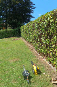 Photo de galerie - Taille de haie