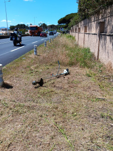 Photo de galerie - Débroussaillage 
