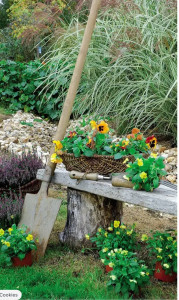 Photo de galerie - Photo