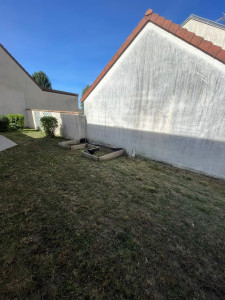 Photo de galerie - Après la tonte
