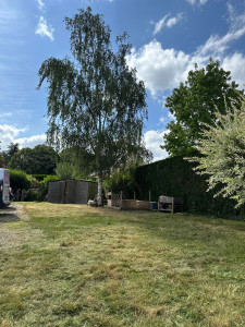 Photo de galerie - Tonte de pelouse - Débroussaillage