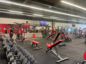 Photo de galerie - Training en salle ( basic ou fitness park ) 