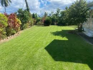 Photo de galerie - Espace vert 