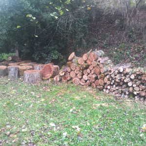 Photo de galerie - Mise en pile du bois et de billons de bois suite à un démontage