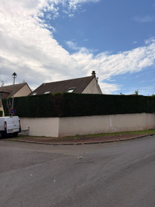 Photo de galerie - Taille de haie 