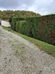 Photo de galerie - Taille