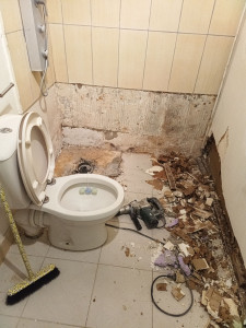 Photo de galerie - Rénovation salle de bain.





