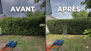 Photo de galerie - Découvrez l'un de mes derniers chantiers de jardinage ! La haie avait pris beaucoup d'ampleur, manquait de structure et fermait visuellement l'espace.