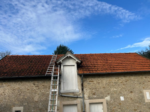Photo de galerie - Demoussage des mousse suite d’un traitement 