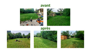 Photo de galerie - Avant/après 