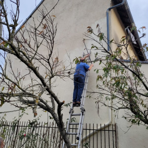 Photo de galerie - Application de la peinture sur la partie accessible du pignon.