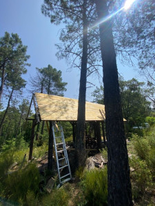 Photo de galerie - Paysagiste - Aménagement du jardin