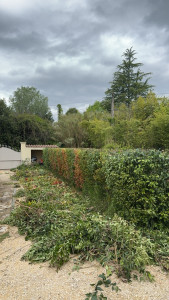 Photo de galerie - Après 