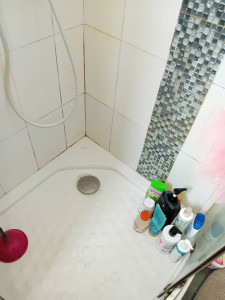 Photo de galerie - Nettoyage de sanitaires 