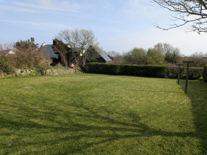 Photo de galerie - Tonte de pelouse et bordure