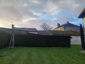 Photo de galerie - Taille d'une jolie haie 