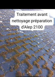 Photo de galerie - Enlèvement des mots plus nettoyage d démoussage toiture Lille refuge apprêter au produit d'Alep 2100