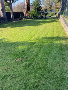 Photo de galerie - Tondeuse 