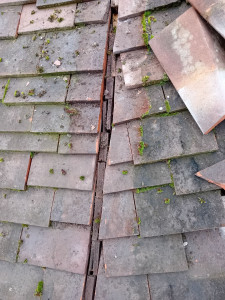 Photo de galerie - Couverture - Toiture