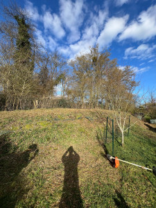 Photo de galerie - Tonte de pelouse - Débroussaillage