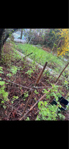 Photo de galerie - Paysagiste - Aménagement du jardin